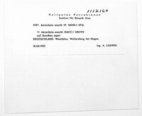 Image Associated With the Occurence